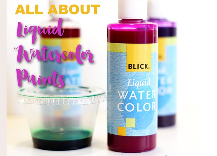 Blick Liquid Watercolors - Painting Class Kit, Set of 10 Colors, 8 oz Bottles