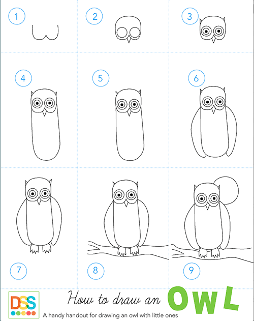 how to draw a snowy owl